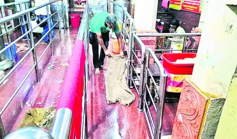 పైడిత