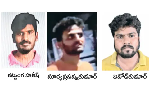 Youths attacked police while drunk