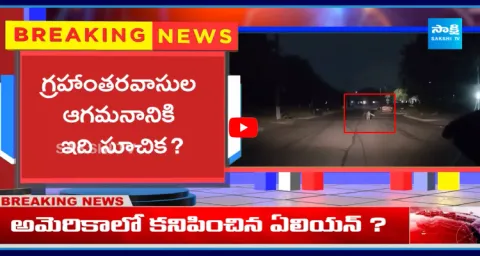 Alien Caught On In Car Dashboard Camera 2
