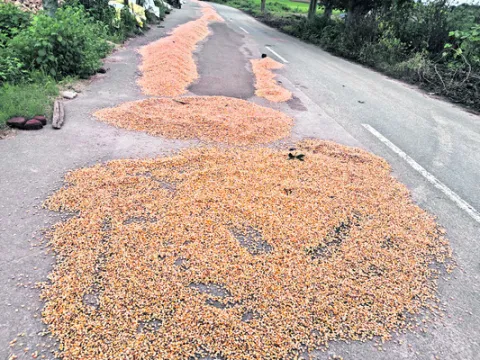 అధిక 