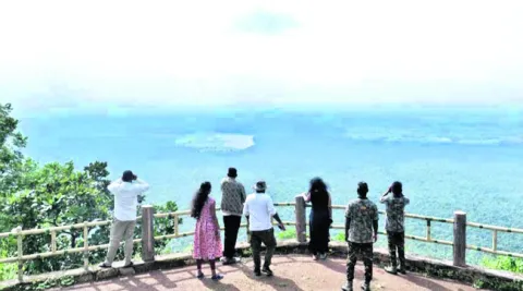 జంగిల