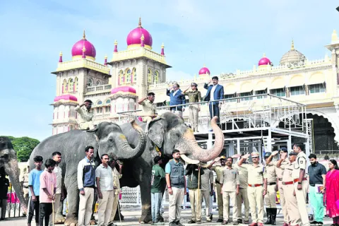జంబూస