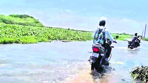 కొల్ల