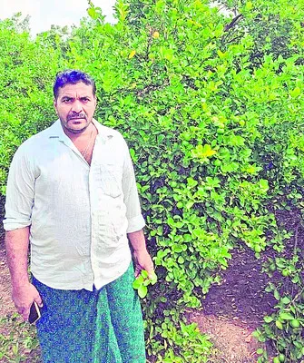 ఽఏడాద