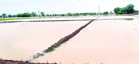 రేబిస