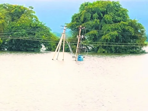 ట్రాన