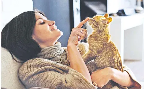 CAT Refers To Cognitive Analytic Therapy: Process Uses and Benefits