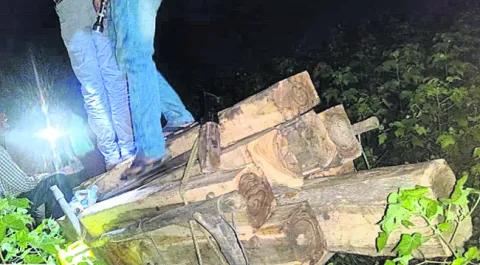 టేకు కలప పట్టివేత