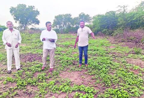 దరఖాస్తుల ఆహ్వానం 