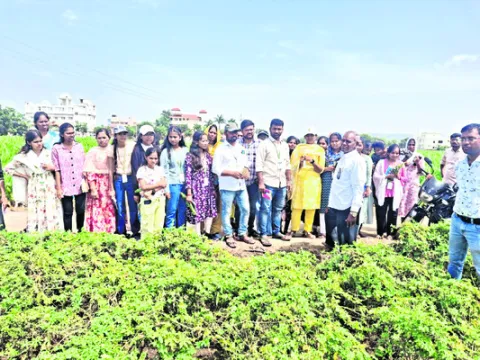 అంకాపూర్‌ను సందర్శించిన పొలాస విద్యార్థులు 