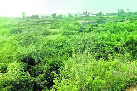 వరద ప