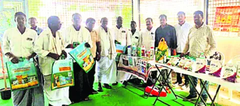 పంట మార్పిడితో అధిక దిగుబడి