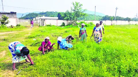 ఇప్పట