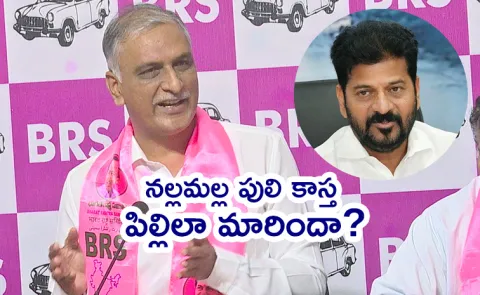 BRS Harish Rao Key Comments On Banakacherla Project