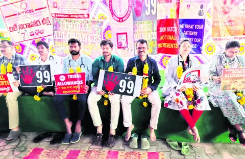 డిమాం