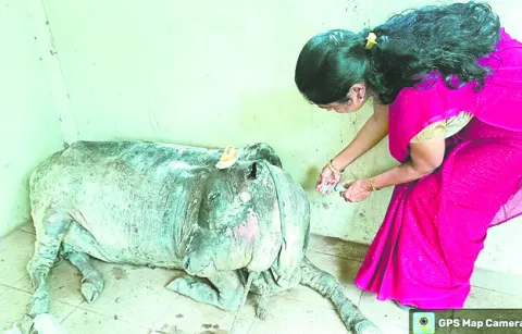 ఏడాది