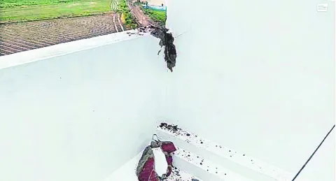 పేటలో