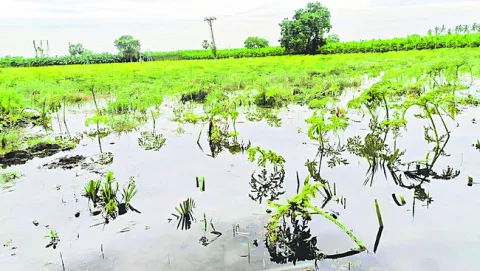 రైతుల కష్టం నీటిపాలు 