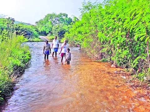 గాలివ