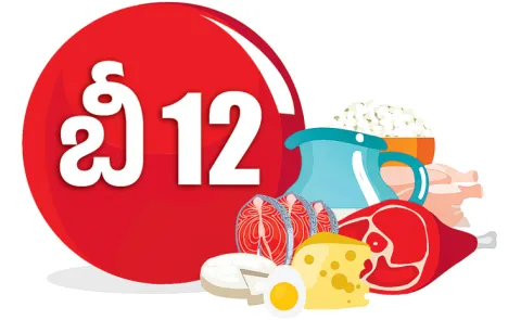 B12 Vitamin deficiency can lead to serious health problems