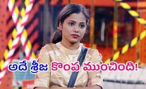 Bigg Boss 9 Telugu: Srija Dammu Elimination Reasons and Remuneration