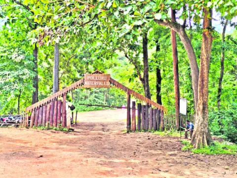 మౌలిక వసతులపై  అటవీశాఖ దృష్టి 
