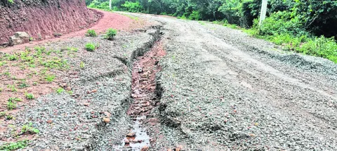 వర్షా