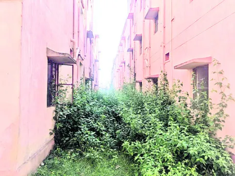 సారూ.