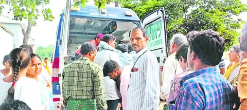 మెలియ