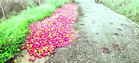 నో‘ట మాట’ లేక 