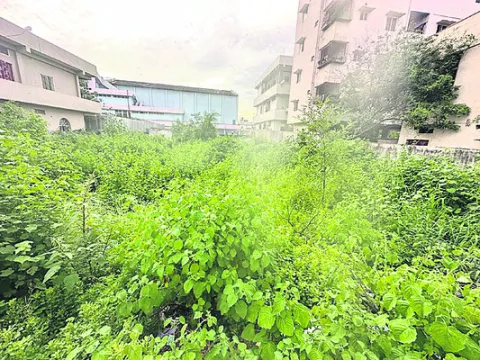 కబ్జా