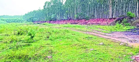 300 ఎ