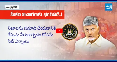 Chandrababu Scare CBI Enquiry On TDP Fake Liquor Scam Case 1