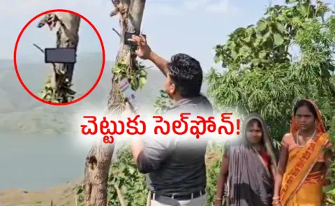 Maharashtra Tribal women tie phone to trees for Ladki Bahin OTP
