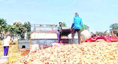 మక్కల
