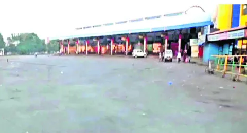 పంట న