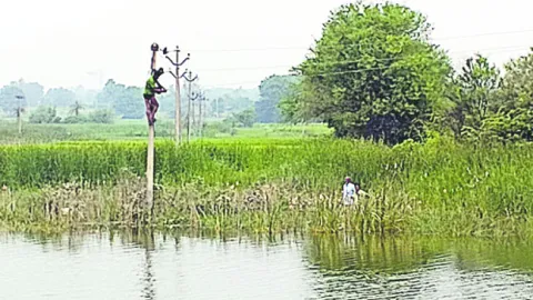 చెరువులో స్తంభం ఎక్కి.. 
