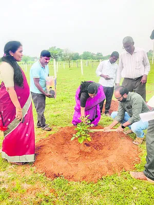 పర్యావరణ పరిరక్షణ సమష్టి బాధ్యత 
