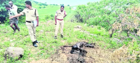 కారు 