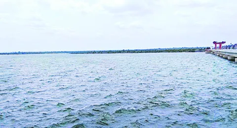 మహిళ అవయవాల దానం 
