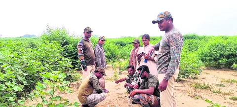మళ్లీ బెబ్బులి అలజడి