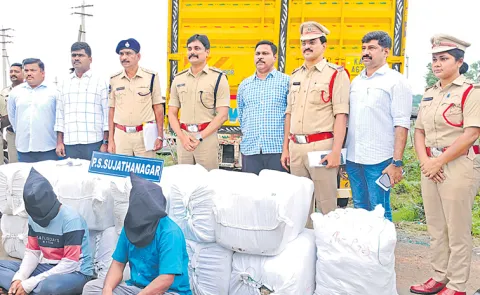 499 kg of marijuana seized