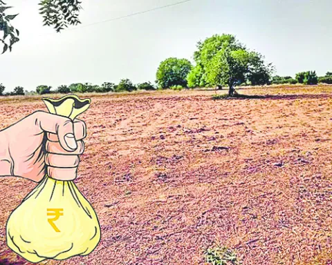 వడ్డీ వ్యాపారుల నయా దందా