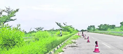 రోడ్డ