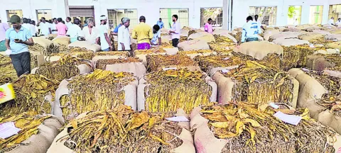 లో గ్