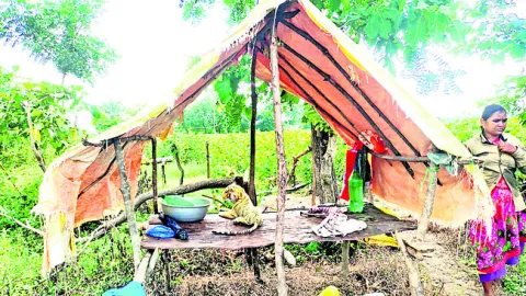 పెద్ద