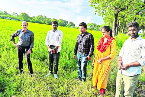 పంట మార్పిడిపై అవగాహన కల్పించాలి 