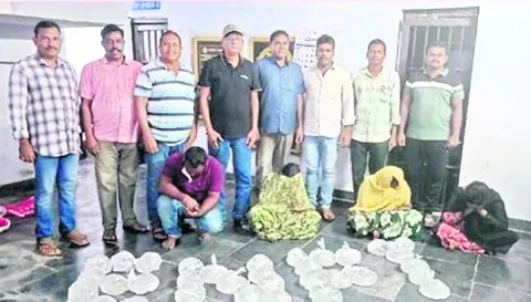 గుడుంబా స్థావరాలపై దాడులు