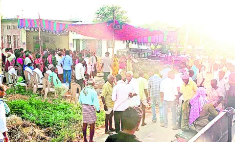 మల్లే