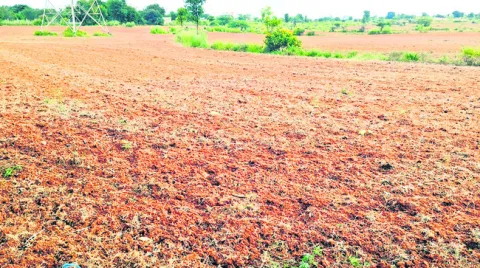 అన్నద
